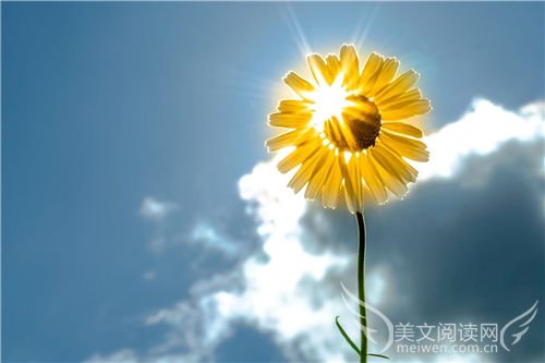 心中的那束光