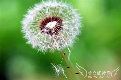 有创意好听的微信群名