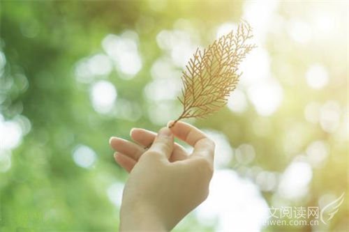 好听个性网名推荐
