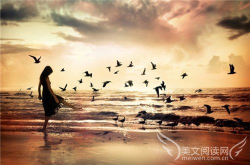 朋友数，斯疏矣